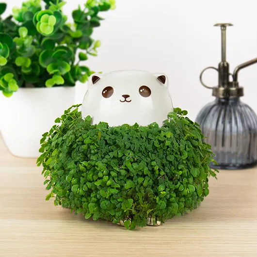Cat Chia Planter UK