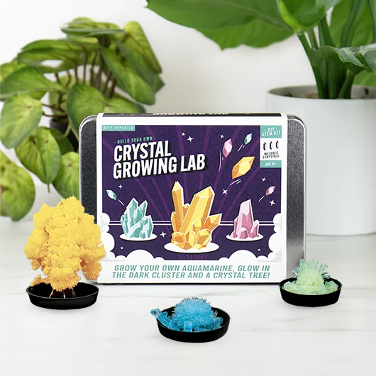 DIY Crystal Kit