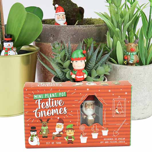 Festive Plant Markers - Rollover 1
